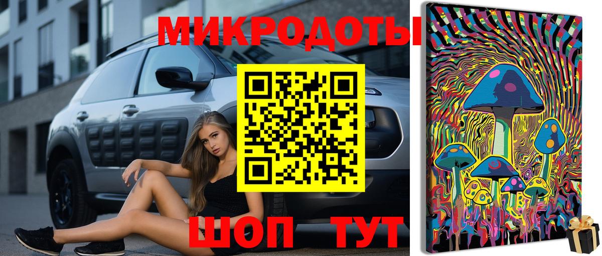 Сергиев Посад  Галлюциногенные грибы Psilocybine cubensis  Вход с VPN 