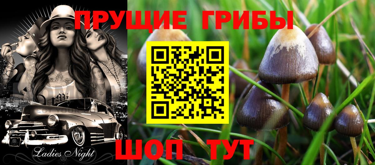 Псилоцибиновые грибы мицелий Сергиев Посад